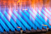 Bocking gas fired boilers